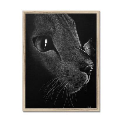 Framed Print | Cat