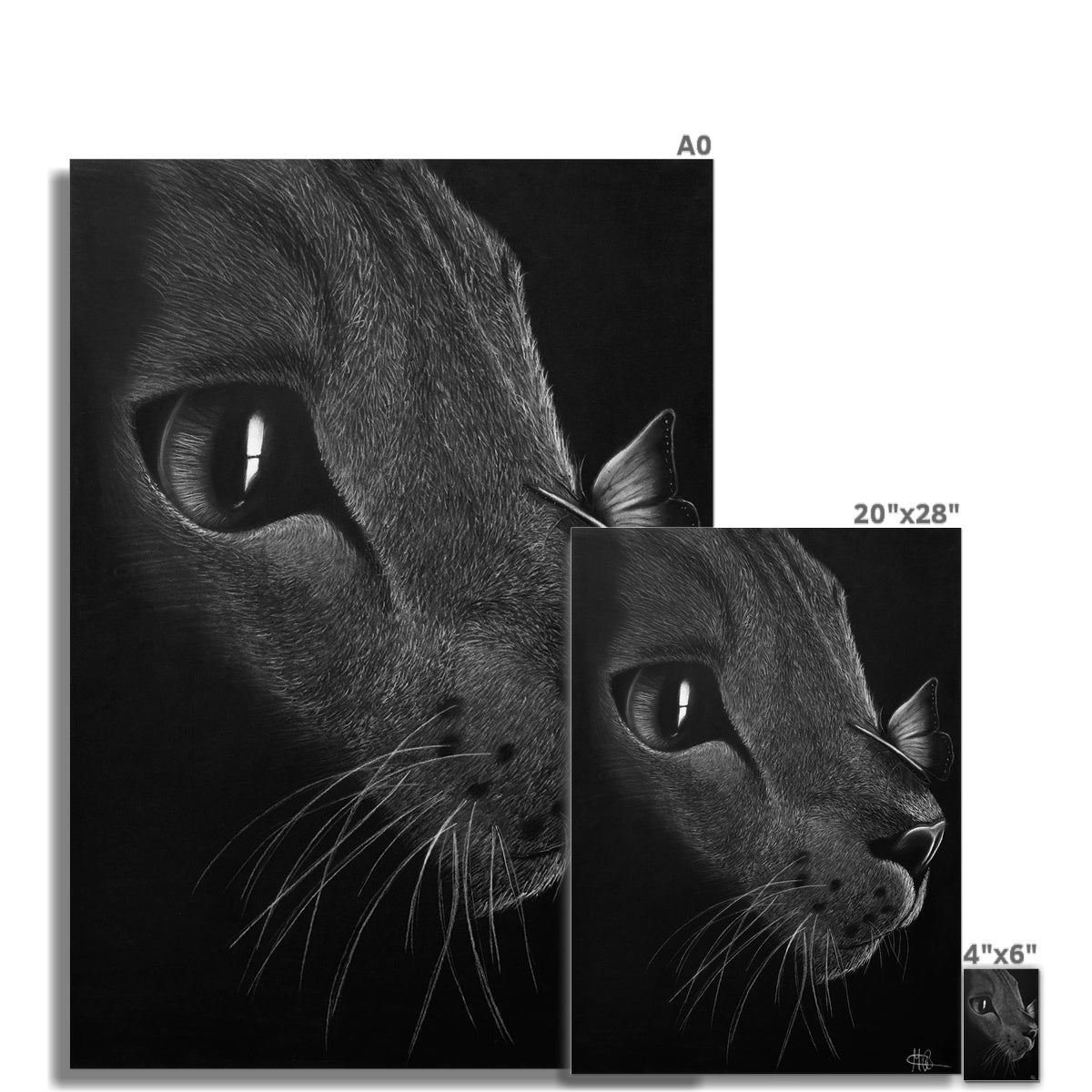 Hahnemühle German Etching Print | Katze