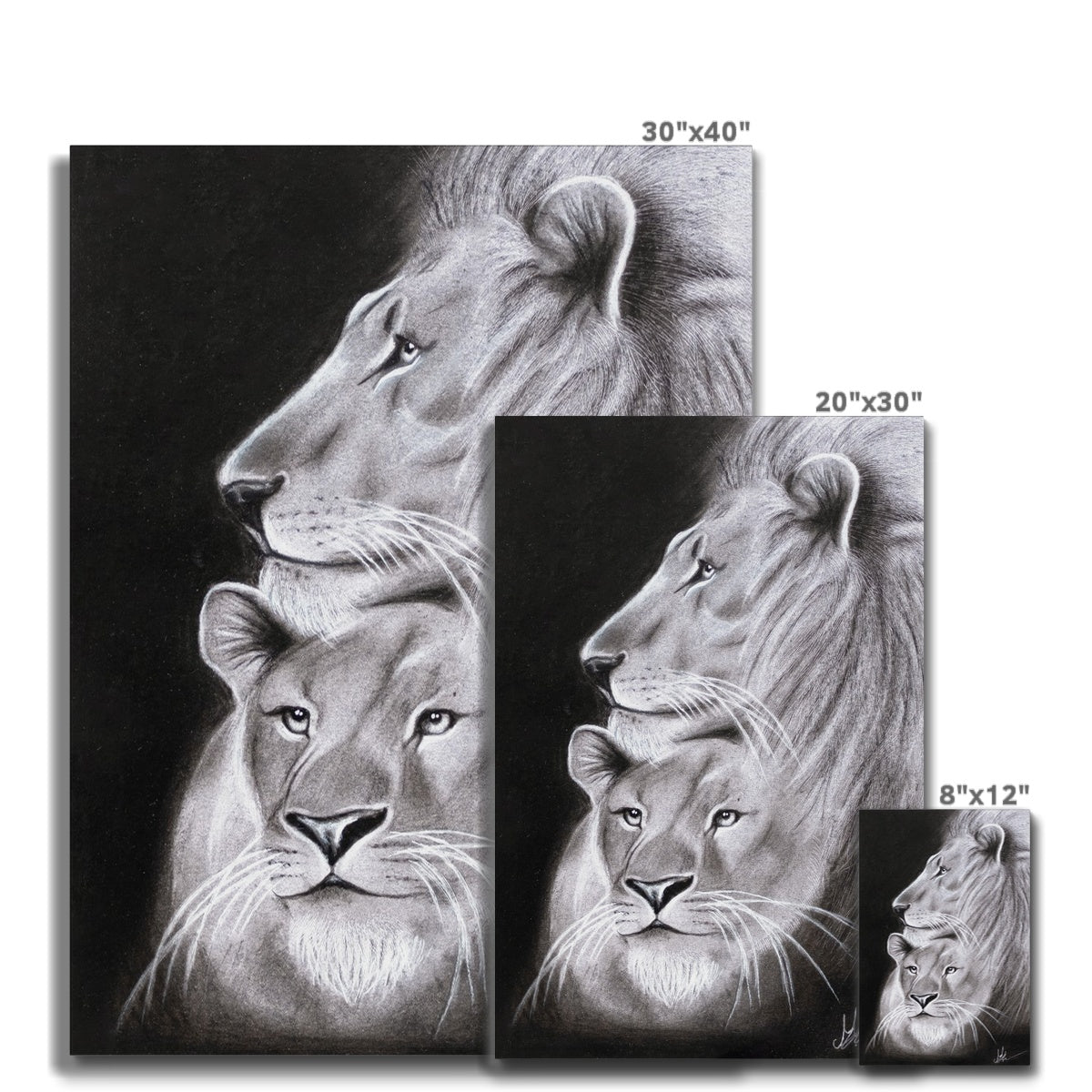 Canvas | Lion