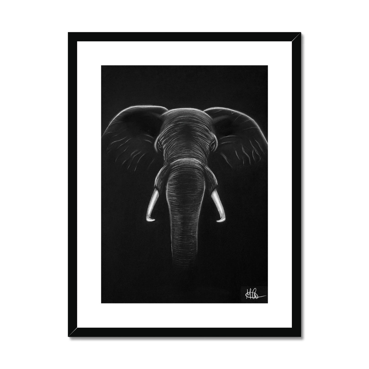 Framed & Mounted Print | Elephant