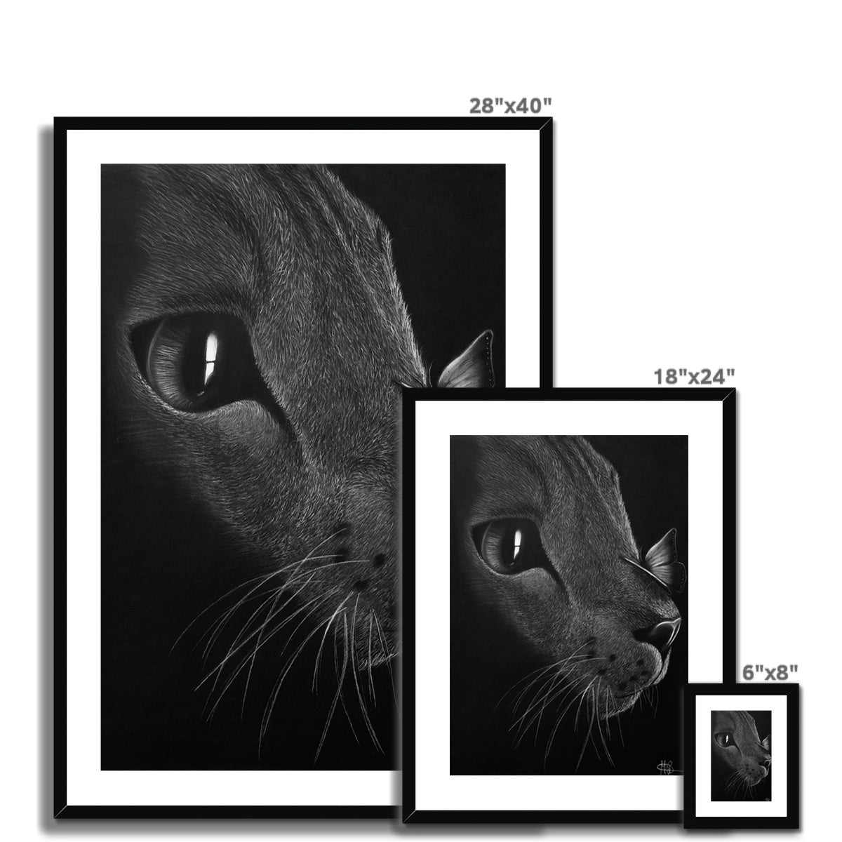 Framed & Mounted Print | Cat