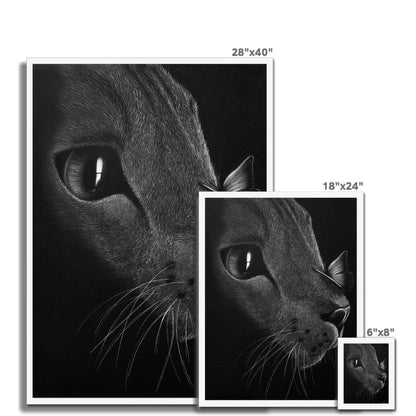 Framed Print | Cat