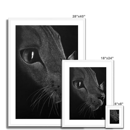 Framed & Mounted Print | Cat