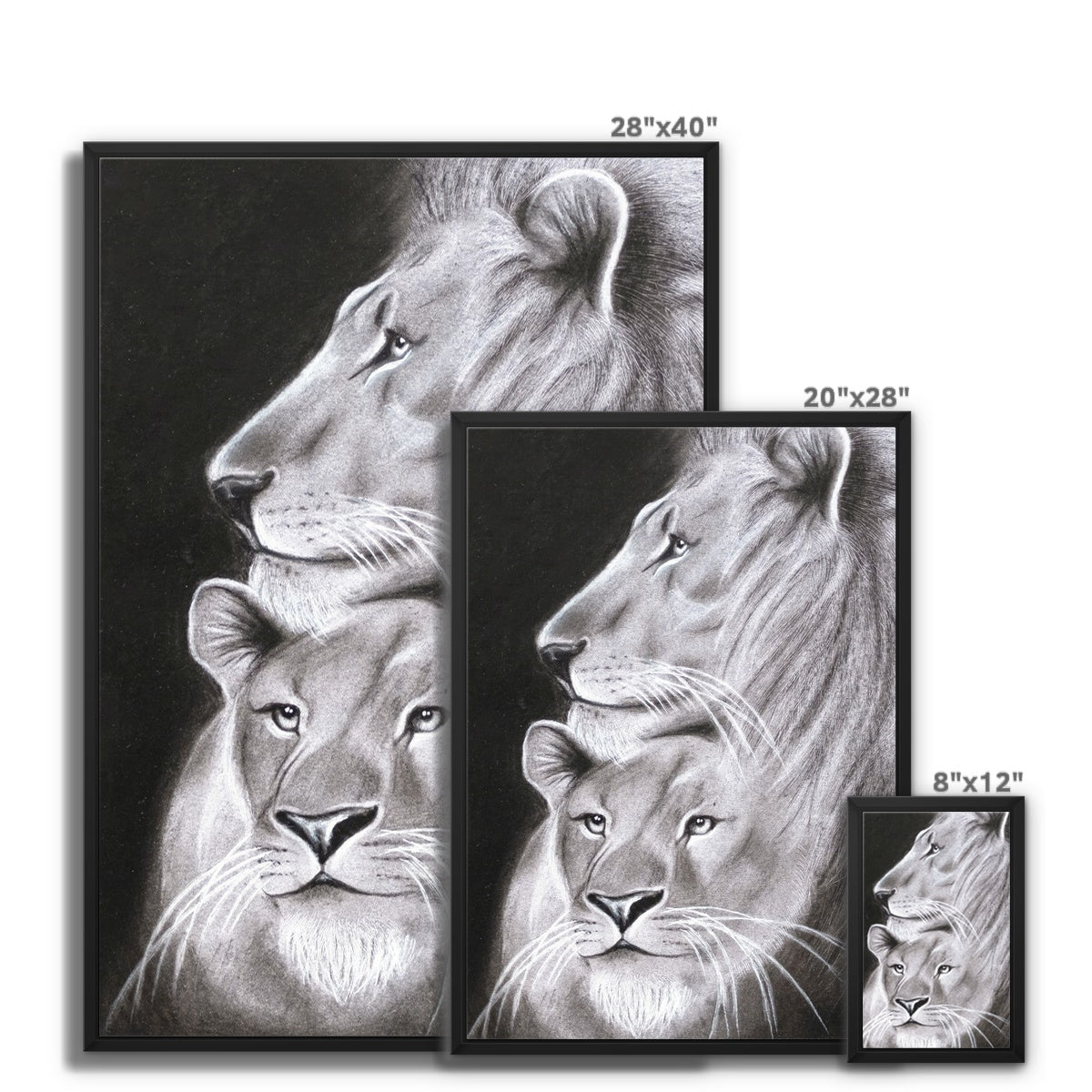 Framed Canvas | Lion