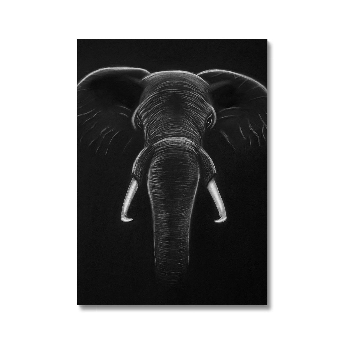 Canvas | Elephant