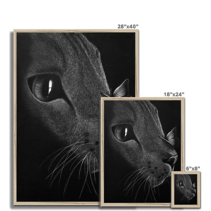 Framed Print | Cat