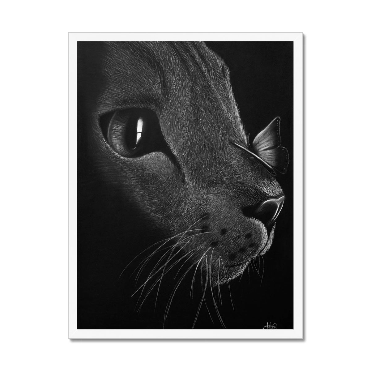 Framed Print | Cat