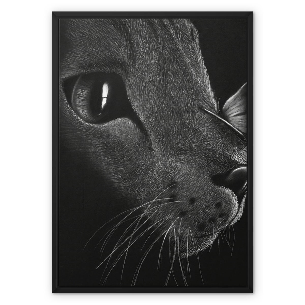 Leinwand Gerahmt | Katze