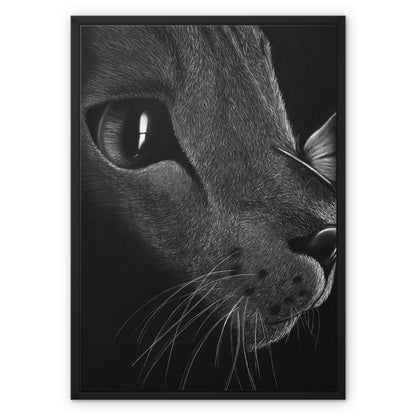 Framed Canvas | Cat