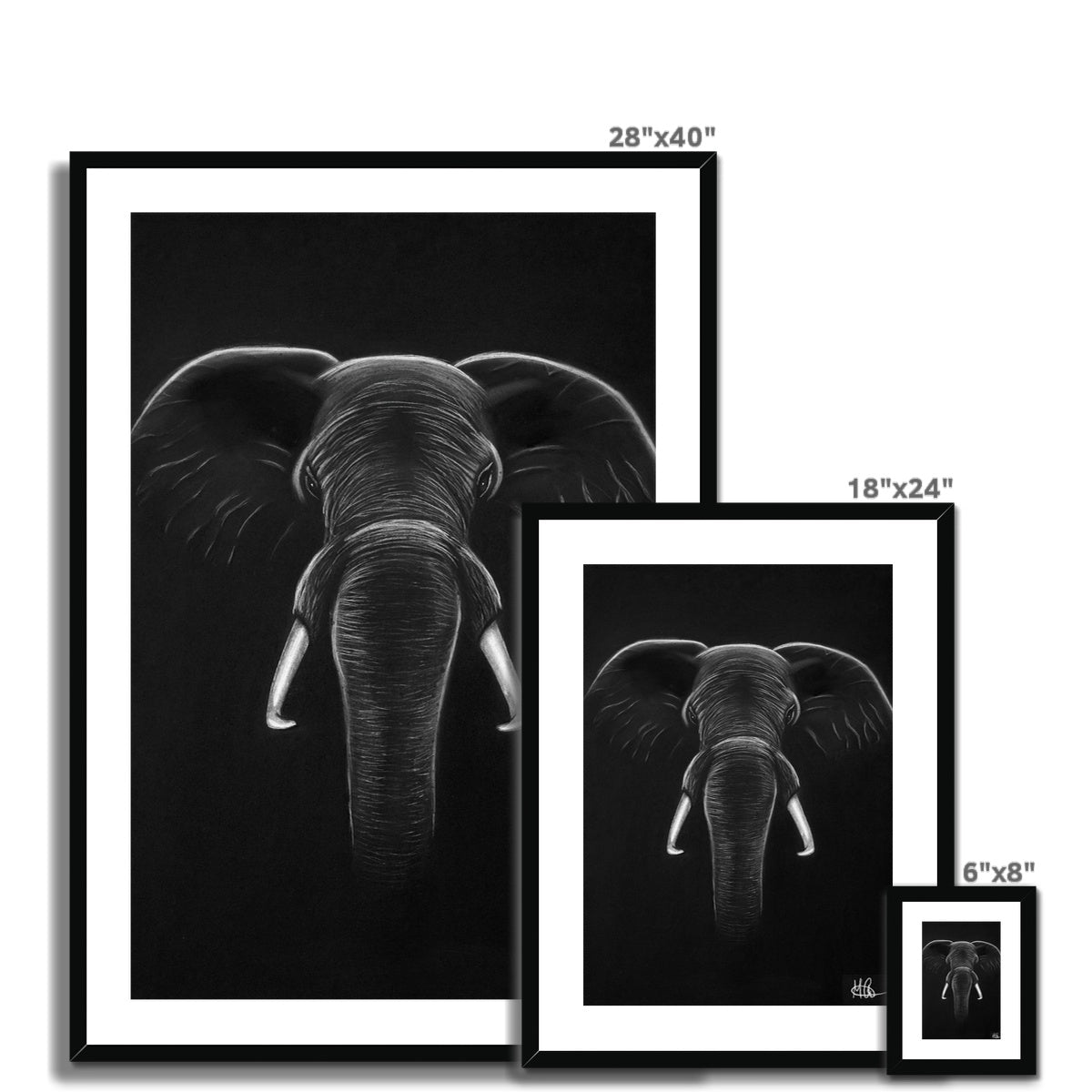 Framed & Mounted Print | Elephant