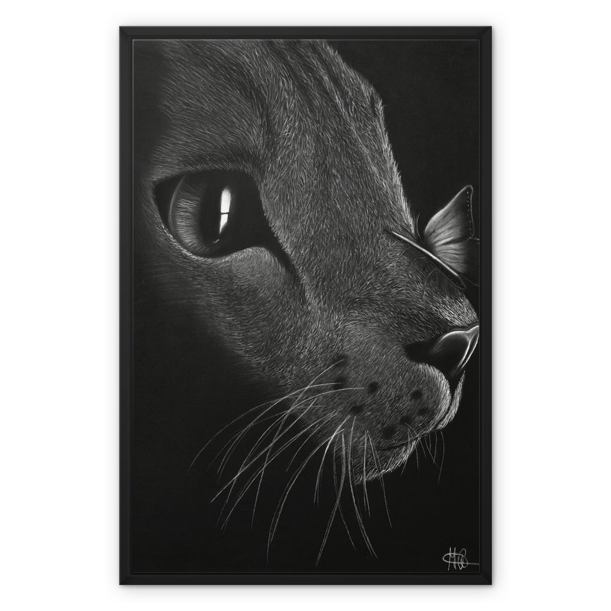 Framed Canvas | Cat