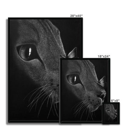 Framed Print | Cat