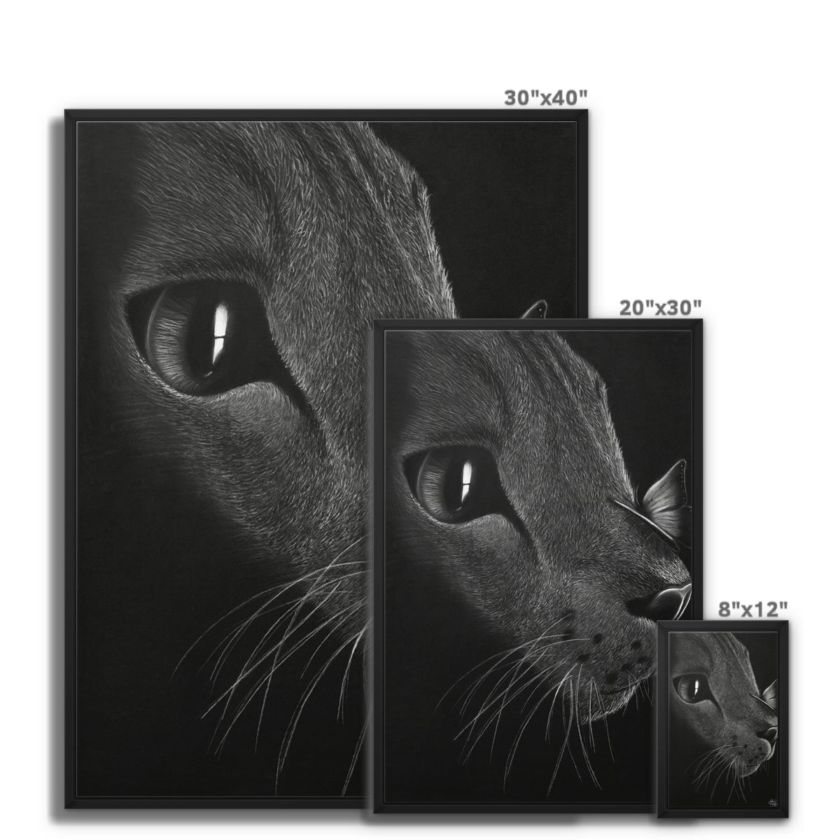 Framed Canvas | Cat