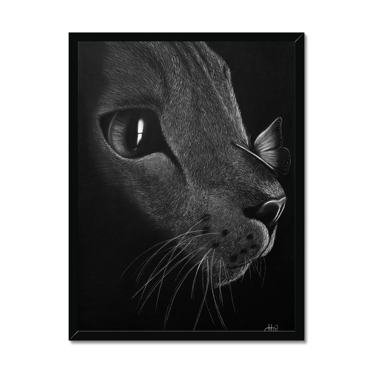 Framed Print | Cat