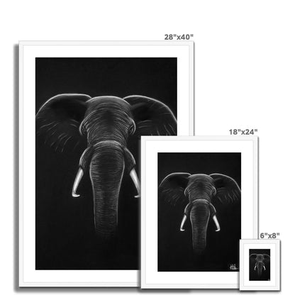 Framed & Mounted Print | Elephant