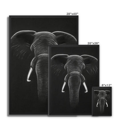 Framed Canvas | Elephant