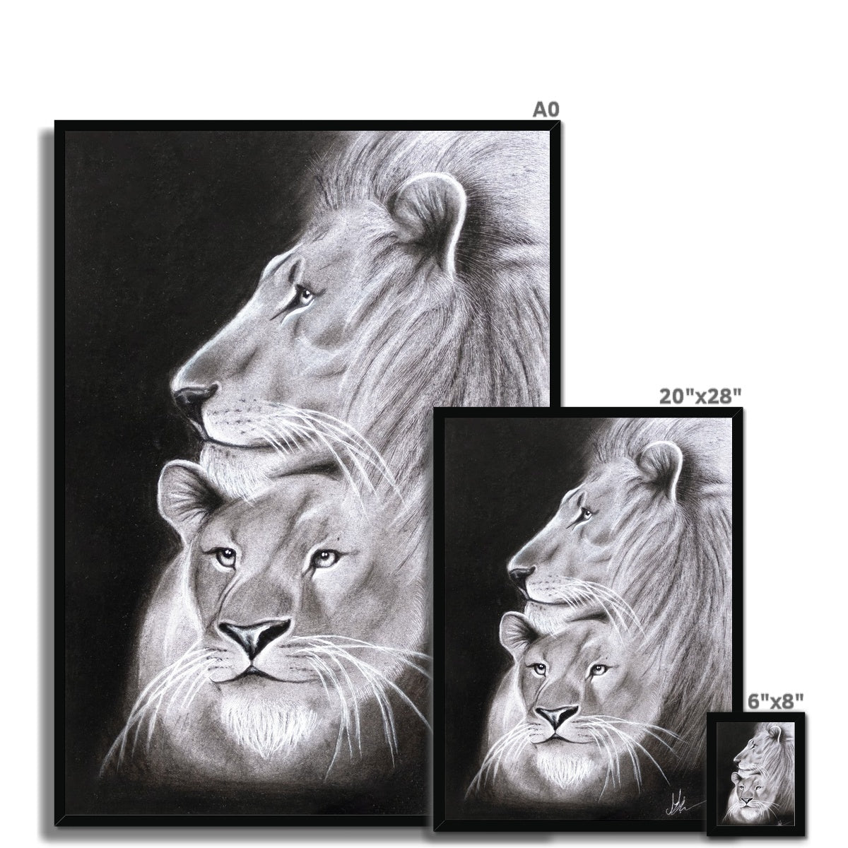 Lion Framed Print