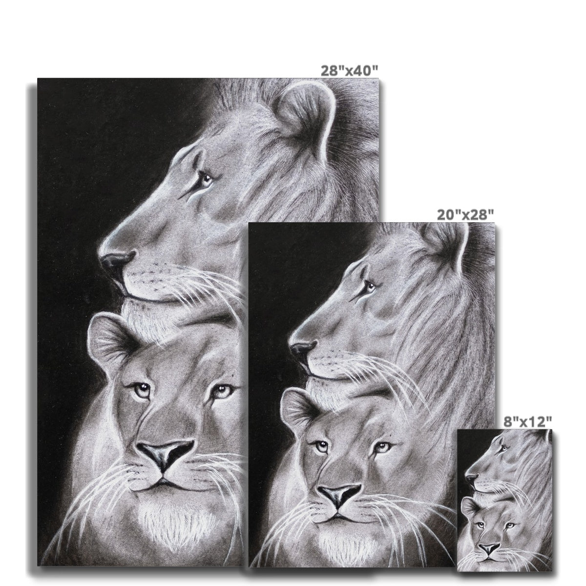 Canvas | Lion