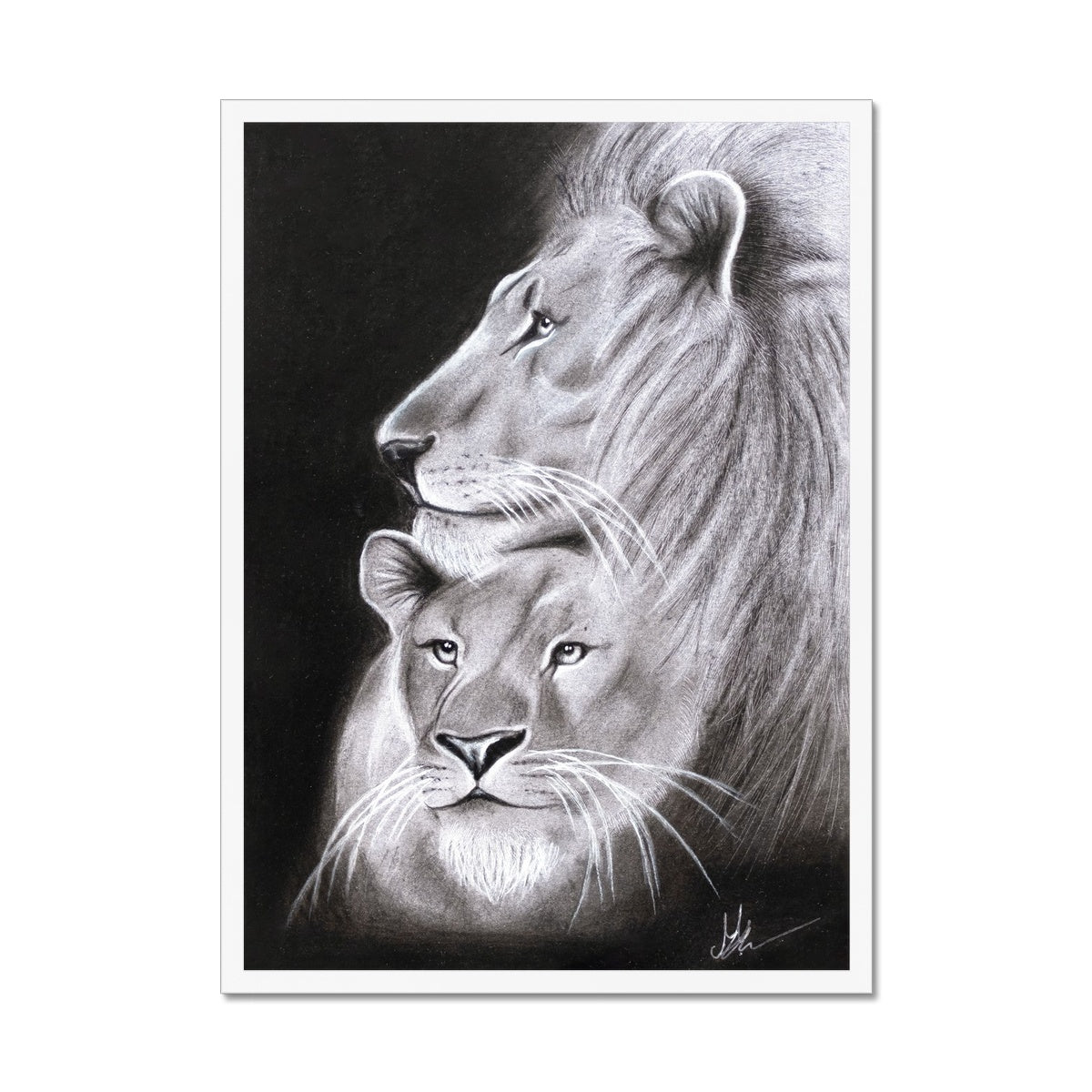 Lion Framed Print