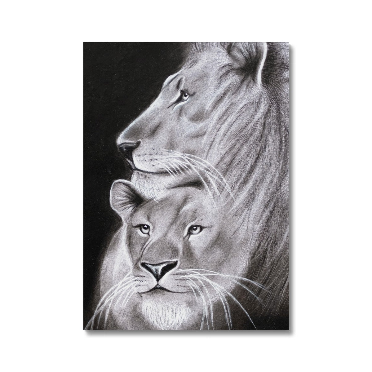 Canvas | Lion