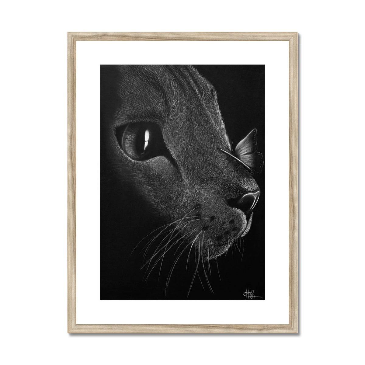 Framed & Mounted Print | Cat