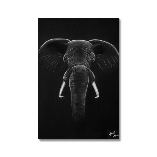 Leinwand | Elefant