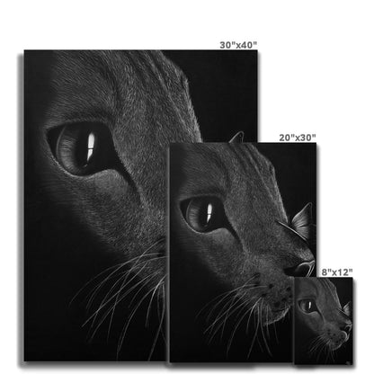 Cat Canvas