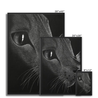 Framed Canvas | Cat