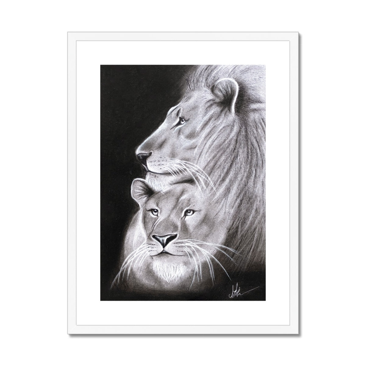 Framed & Mounted Print | Lion