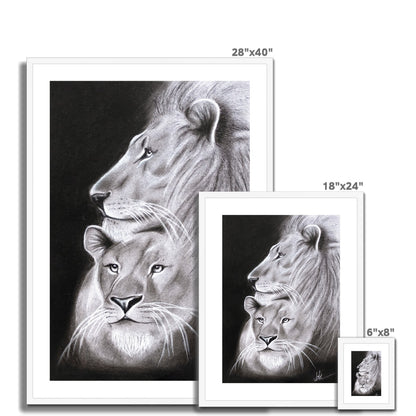 Framed & Mounted Print | Lion