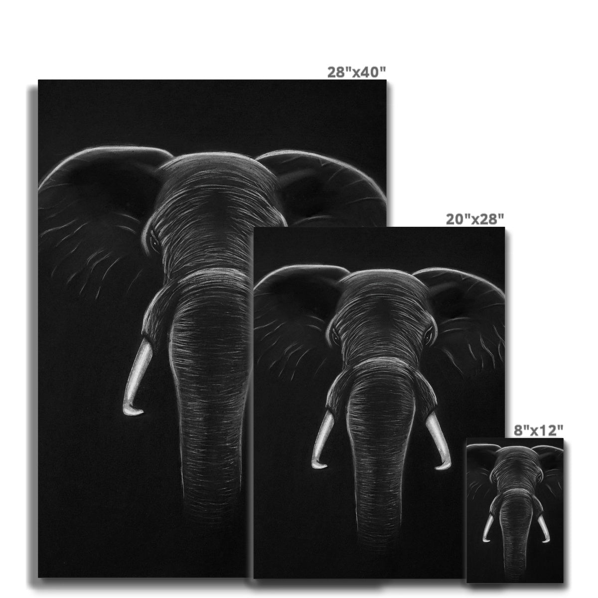 Canvas | Elephant