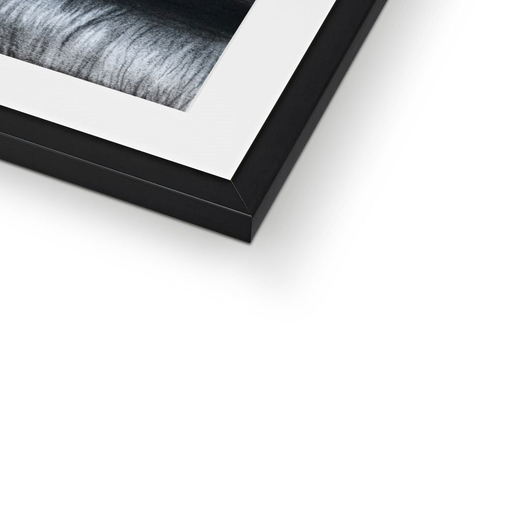 Framed & Mounted Print | Together