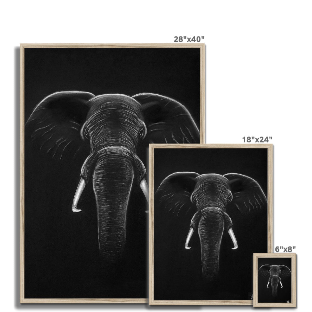 Framed Print | Elephant