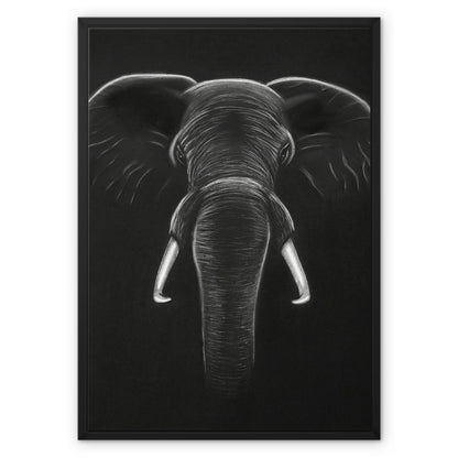 Framed Canvas | Elephant