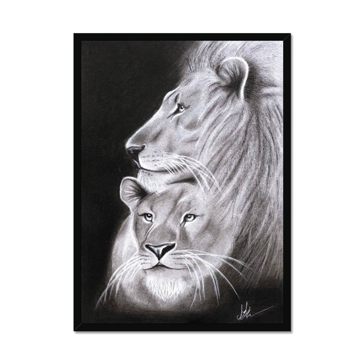 Lion Framed Print