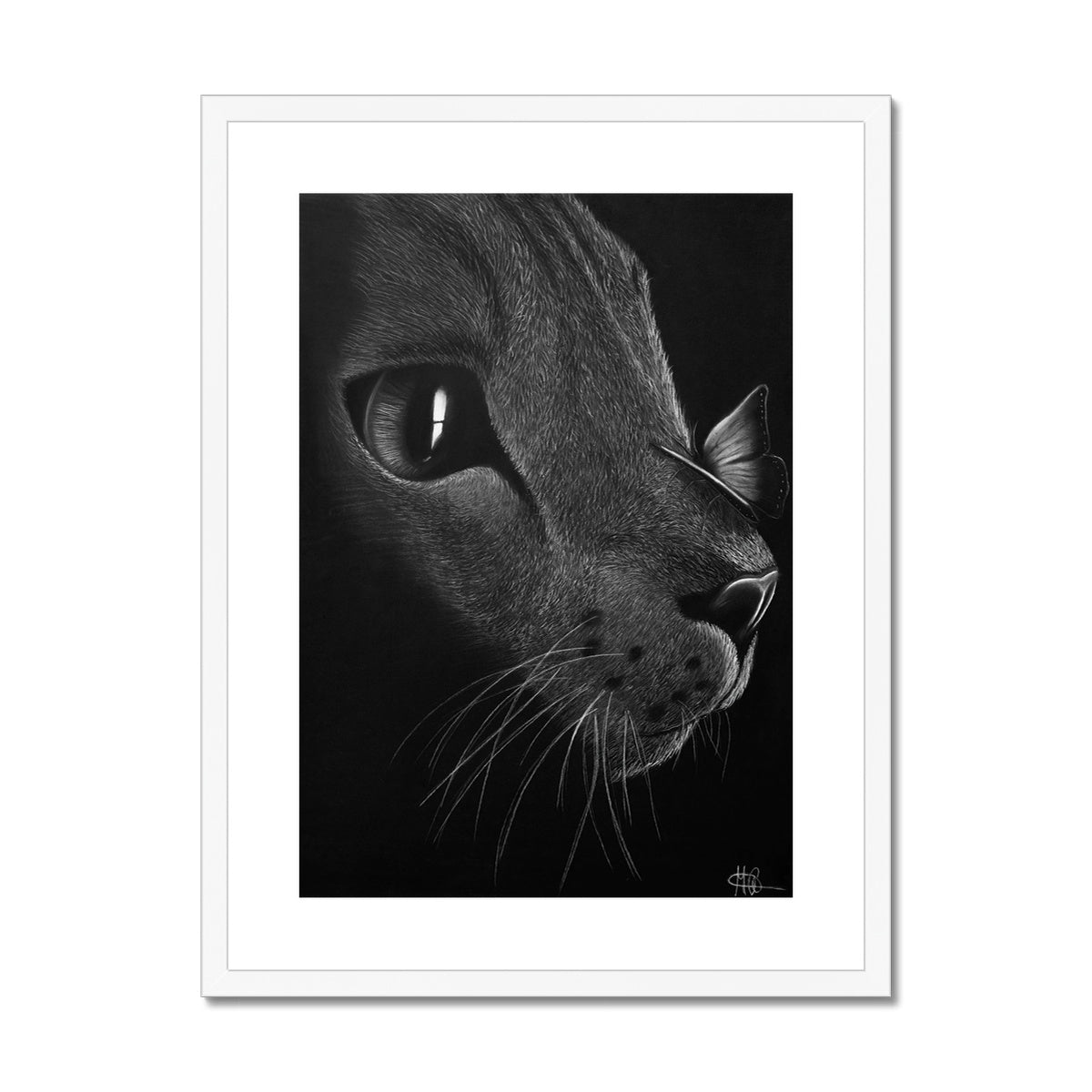 Framed & Mounted Print | Cat