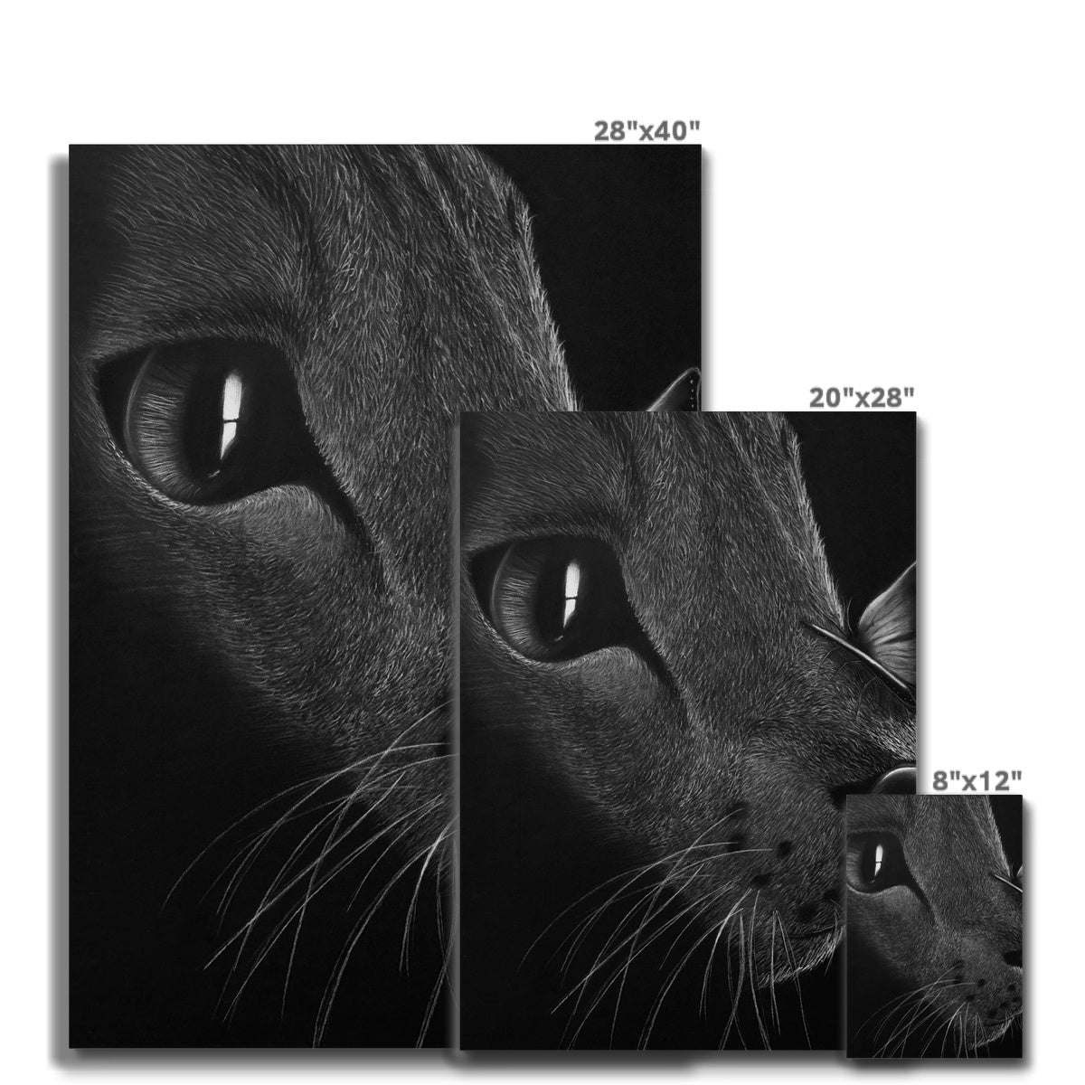 Cat Canvas