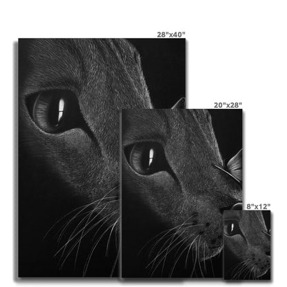 Cat Canvas