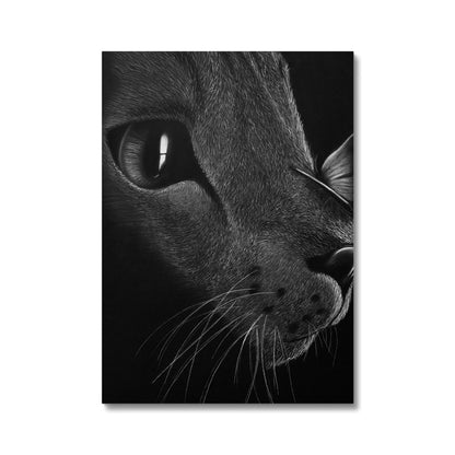 Leinwand | Katze